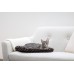 Pasja ali mačja postelja COSY BED 