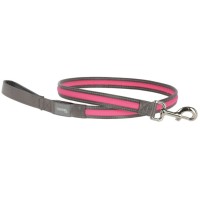 Svetleč povodec za psa Light & Reflex z baterijo