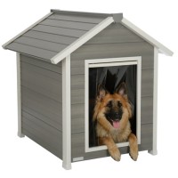 Pasja uta ECO DOG