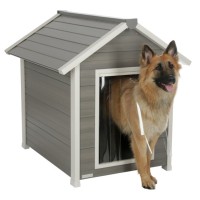 Pasja uta ECO DOG