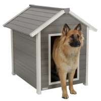 Pasja uta ECO DOG
