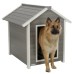 Pasja uta ECO DOG