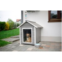 Pasja uta ECO DOG