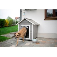 Pasja uta ECO DOG