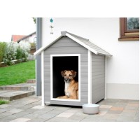 Pasja uta ECO DOG