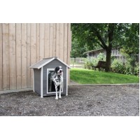 Pasja uta ECO DOG