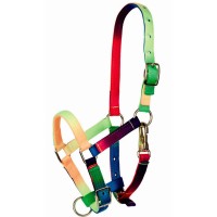 Oglavka za žrebička ali shetland ponija MULTICOLOR Oglavka za žrebička ali shetland ponija MULTICOLOR