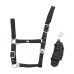 Komplet oglavka + povodec UMBRIA INTRECC - več barv Komplet oglavka + povodec UMBRIA INTRECC - več barv