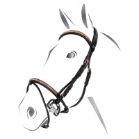 Angleška uzda Equestro Clincher Rosegold