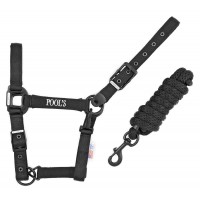 Komplet oglavka + povodec POOL'S SOLID