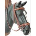 Angleška uzda EQUESTRO JUBILEE