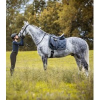 Dresurno sedlo WALDHAUSEN LEATHER