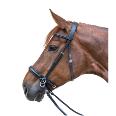 Bitless uzda WELL TRAINED HORSE
