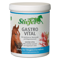 Stiefel GASTRO VITAL, 1kg