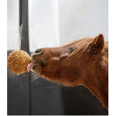 LIKIT GRANOLA STALL BALL,priboljšek v žogi 1,6 kg
