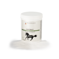 WALDHAUSEN Electrolyte 1kg, elektroliti v prahu