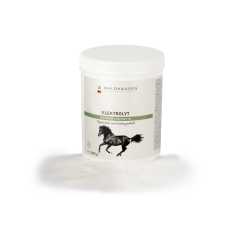 WALDHAUSEN Electrolyte 1kg, elektroliti v prahu