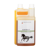 WALDHAUSEN Electrolyte, 1L, tekoči elektroliti WALDHAUSEN Electrolyte, 1L, tekoči elektroliti