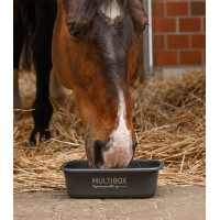 Waldhausen MULTIBOX ORGANISE YOUR LIFE, 3 L