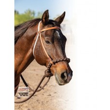 Hakamor - komplet za trening mladih konj