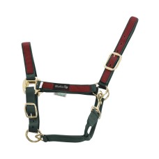 Hlevska oglavka TWO TONE