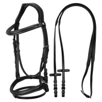 Angleška uzda EQUESTRO RAISED PADDED Angleška uzda EQUESTRO RAISED PADDED
