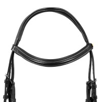 Angleška uzda EQUESTRO RAISED PADDED