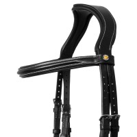 Angleška uzda EQUESTRO RAISED PADDED