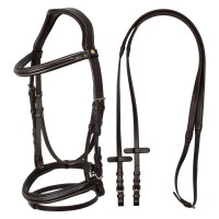 Angleška uzda EQUESTRO RAISED PADDED