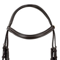 Angleška uzda EQUESTRO RAISED PADDED