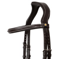 Angleška uzda EQUESTRO RAISED PADDED