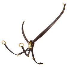 Angleška oprsnica EQUESTRO® Tanned leather