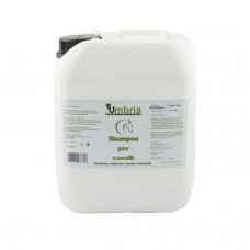 Šampon za konje Amahorse, 5L