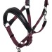EQUESTRO® hlevska oglavka s povodcem LUXURY ERGONOMIC - več barv EQUESTRO® hlevska oglavka s povodcem LUXURY ERGONOMIC - več barv