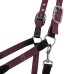 EQUESTRO® hlevska oglavka s povodcem LUXURY ERGONOMIC - več barv EQUESTRO® hlevska oglavka s povodcem LUXURY ERGONOMIC - več barv