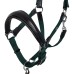EQUESTRO® hlevska oglavka s povodcem LUXURY ERGONOMIC - več barv EQUESTRO® hlevska oglavka s povodcem LUXURY ERGONOMIC - več barv
