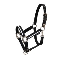 Oglavka in povodec EQUESTRO WHITE TRIM