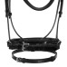 Dresurna uzda EQUESTRO NEW CRYSTAL Dresurna uzda EQUESTRO NEW CRYSTAL
