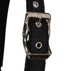 Oglavka in povodec EQUESTRO WHITE TRIM