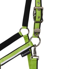 Oglavka in povodec EQUESTRO WHITE TRIM