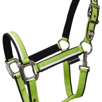 Oglavka in povodec EQUESTRO WHITE TRIM