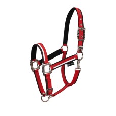 Oglavka in povodec EQUESTRO WHITE TRIM