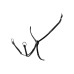 Oprsnica EQUESTRO® Y - FORK Oprsnica EQUESTRO® Y - FORK