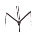 Oprsnica + martingal UKE ELASTIC