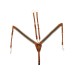 Oprsnica + martingal UKE ELASTIC