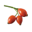 ŠIPEK