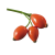 ŠIPEK 