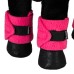 Equestro® bandaže za konjička Pony Buddy Equestro® bandaže za konjička Pony Buddy