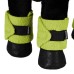 Equestro® bandaže za konjička Pony Buddy Equestro® bandaže za konjička Pony Buddy