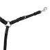 Equestro® oprsnica z martingalom ANATOMIC Equestro® oprsnica z martingalom ANATOMIC